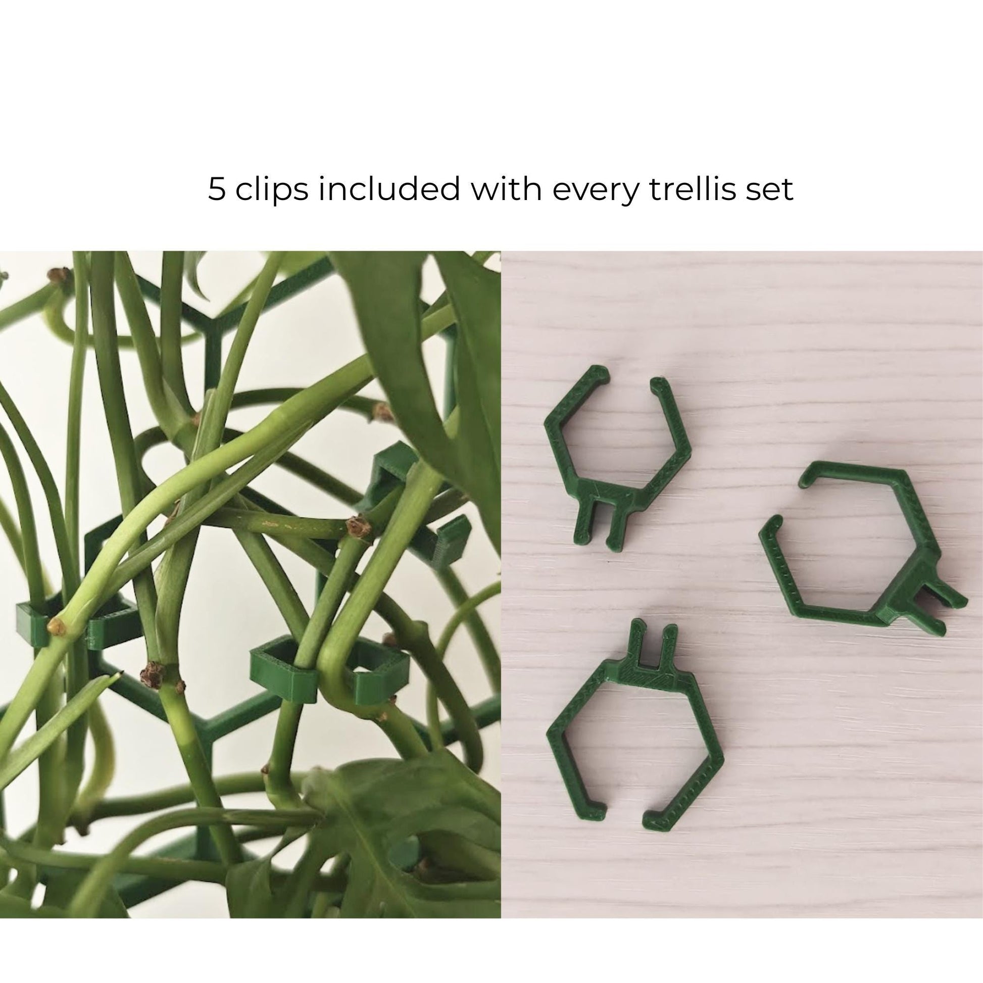 5 clips are included with every trellis set