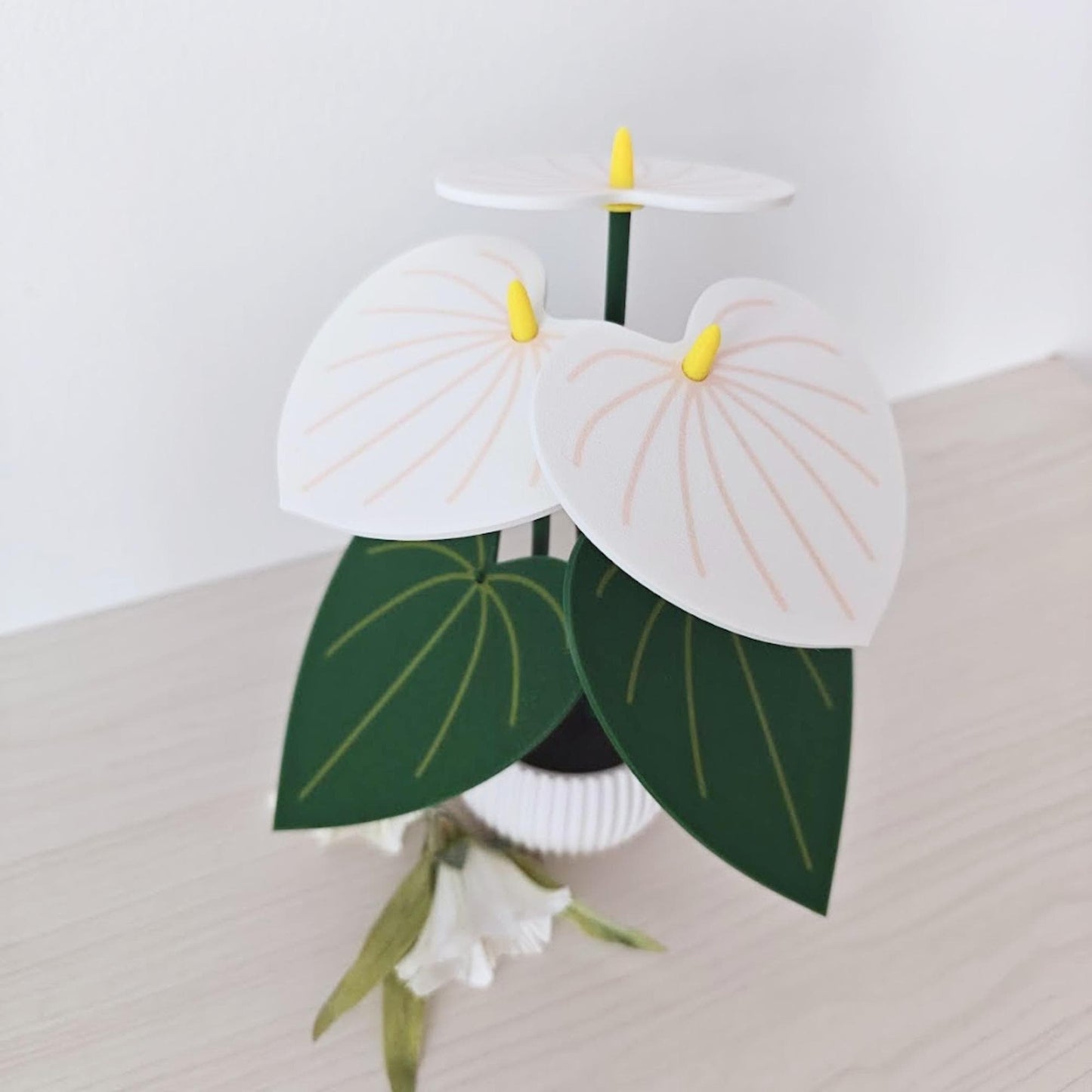 Anthurium Andraeanum Coaster Set