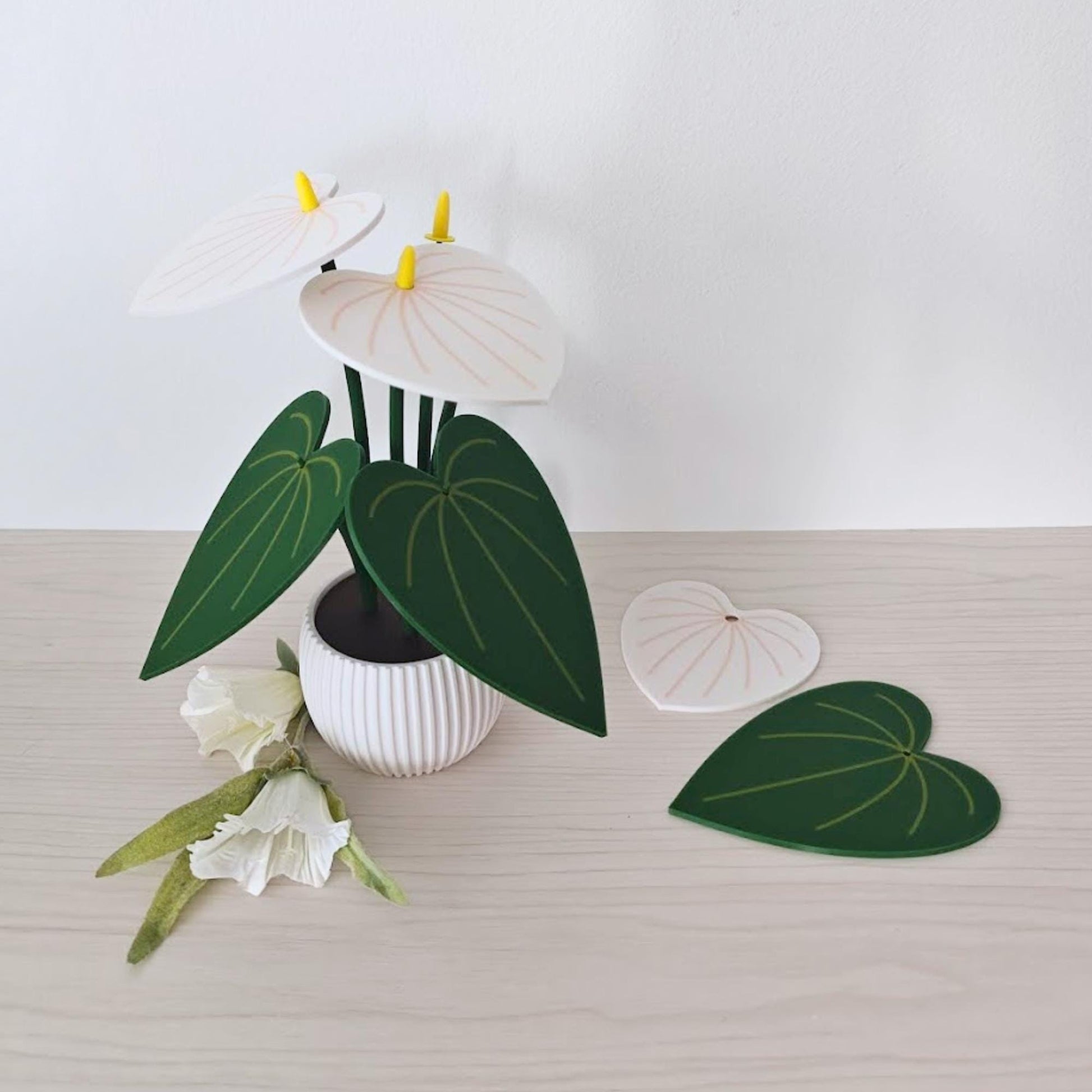 White Anthurium coaster plant with one removable leaf coaster placed beside the decorative pot.