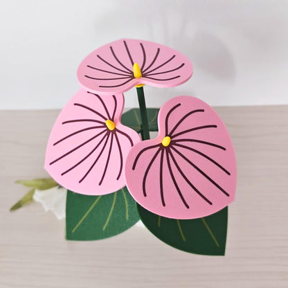 Pink Anthurium plant coaster set with removable pink leaf coasters displayed as a decorative plant gift.