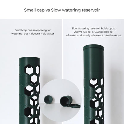 Close-up of watering cap and reservoir for plant hydration. The small cap has an opening. The slow watering reservoir holds up to 200ml or 350 ml of water and slowly releases it into the moss.