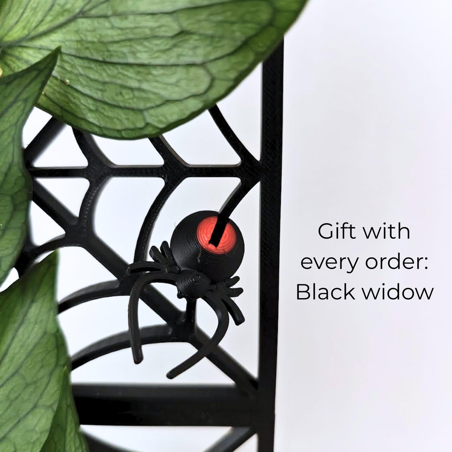 Gift with every order: Black widow spider clip