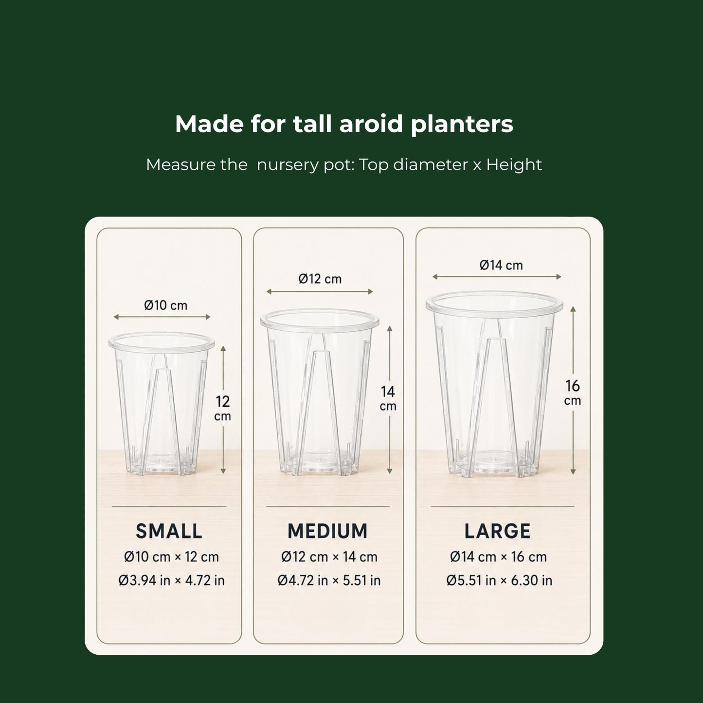 Size guide for tall clear aroid nursery pots in 10 × 12, 12 × 14 and 14 × 16 cm, with measurements in centimeters and inches.
