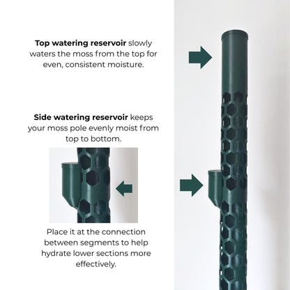 Top and side watering reservoirs for modular moss poles, showing placement of the side reservoir between pole segments for more even moisture.