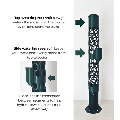 Moss pole watering system with 350 ml top watering reservoir and side watering reservoir positioned between pole segments for even moisture distribution.