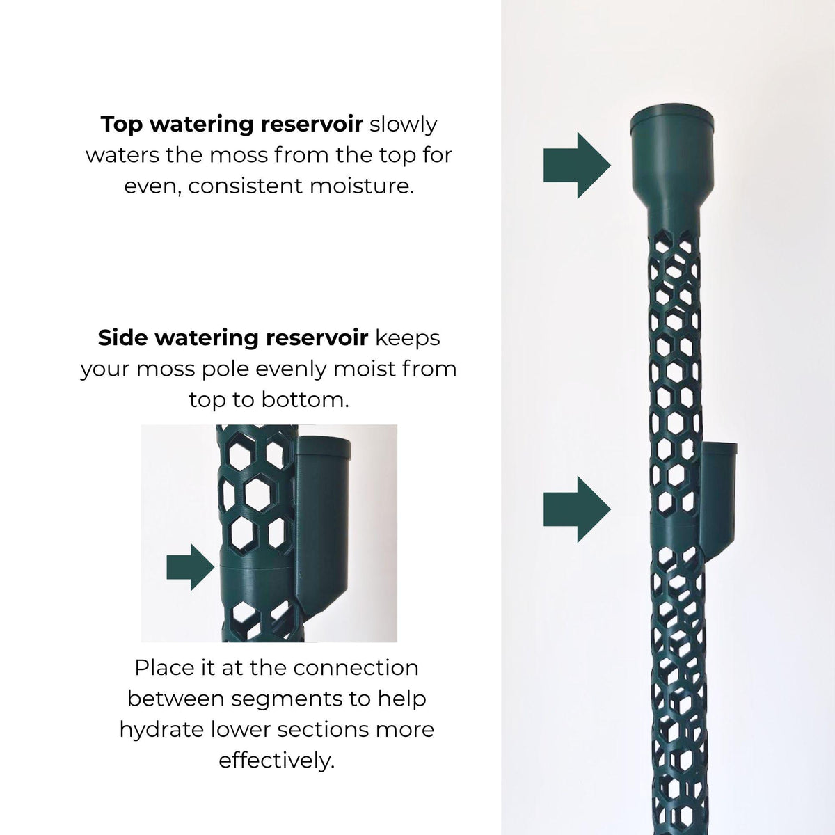 Top and side watering reservoirs designed to keep moss evenly moist throughout the pole.