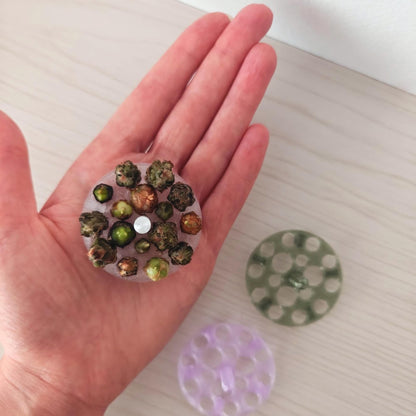 Hand holding a corm-filled riser beside translucent and purple propagation trays to demonstrate its size.