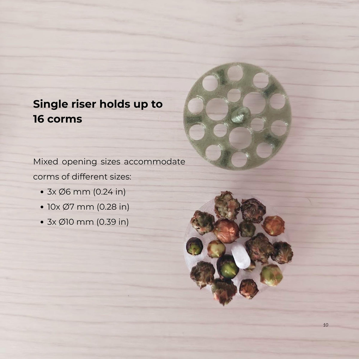 Removable corm riser holding up to 16 corms with mixed opening sizes for different corm diameters.
