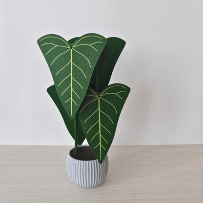 Anthurium Delta Force coaster plant shown assembled in a ribbed pot with four removable leaf coasters