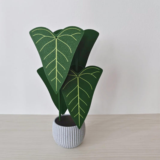 Anthurium Delta Force coaster plant shown assembled in a ribbed pot with four removable leaf coasters