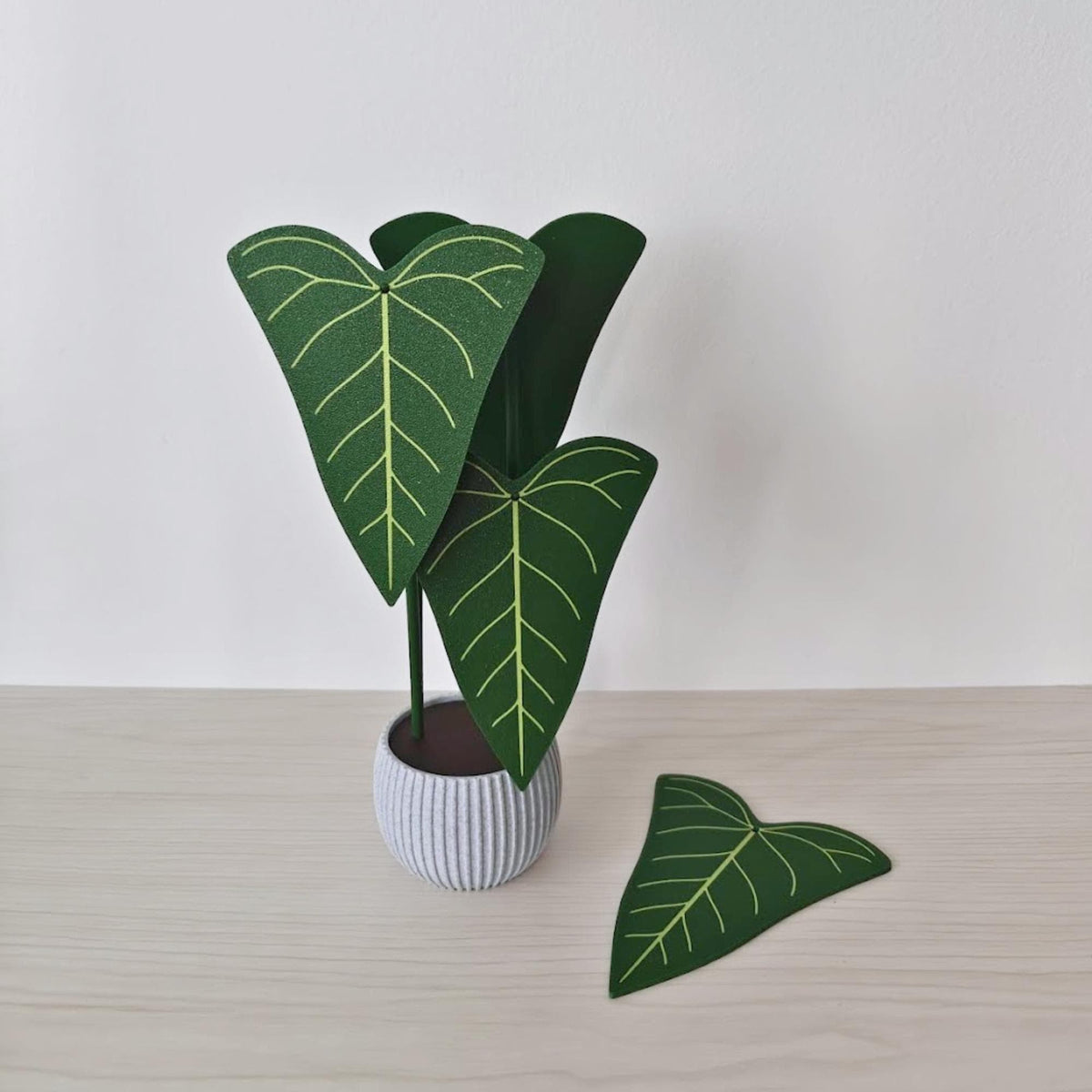 Anthurium Delta Force coaster set with one leaf coaster removed and placed beside the decorative plant holder