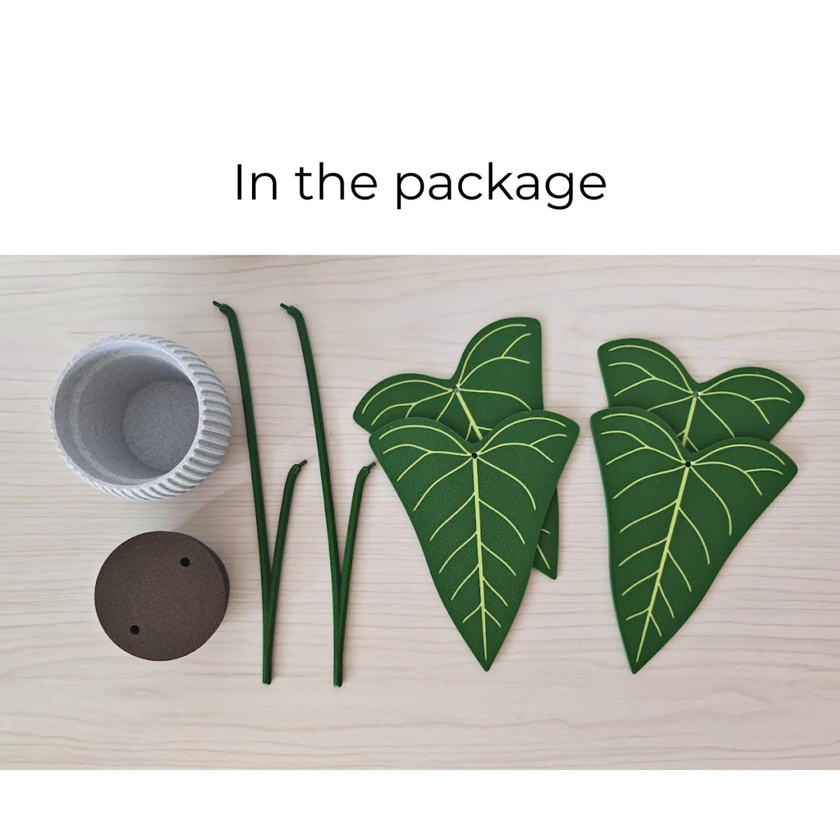 Anthurium Delta Force coaster set package contents including four leaf coasters, stems, pot and removable base