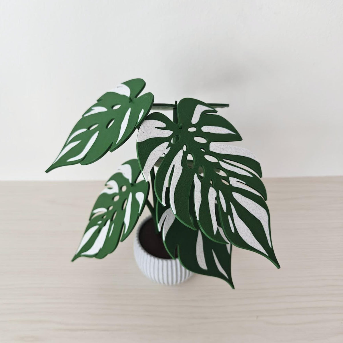 Rear view of assembled Monstera plant coaster holder with six variegated leaves