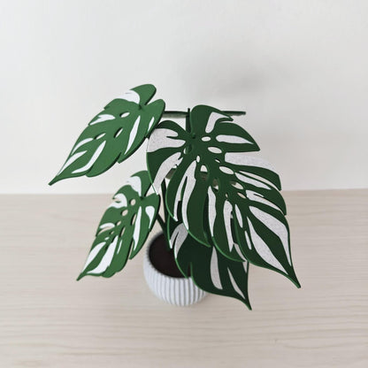 Rear view of assembled Monstera plant coaster holder with six variegated leaves