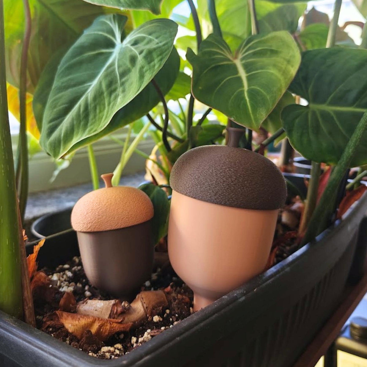 Small and large acorn watering spikes inserted into soil in a planter filled with tropical houseplants.