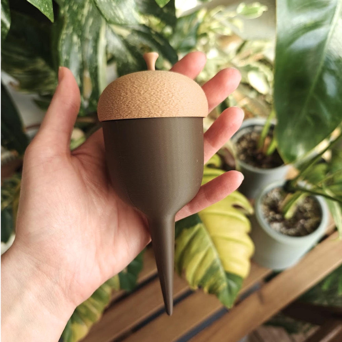 Small acorn-shaped plant watering spike held in one hand, showing the two-tone acorn design.