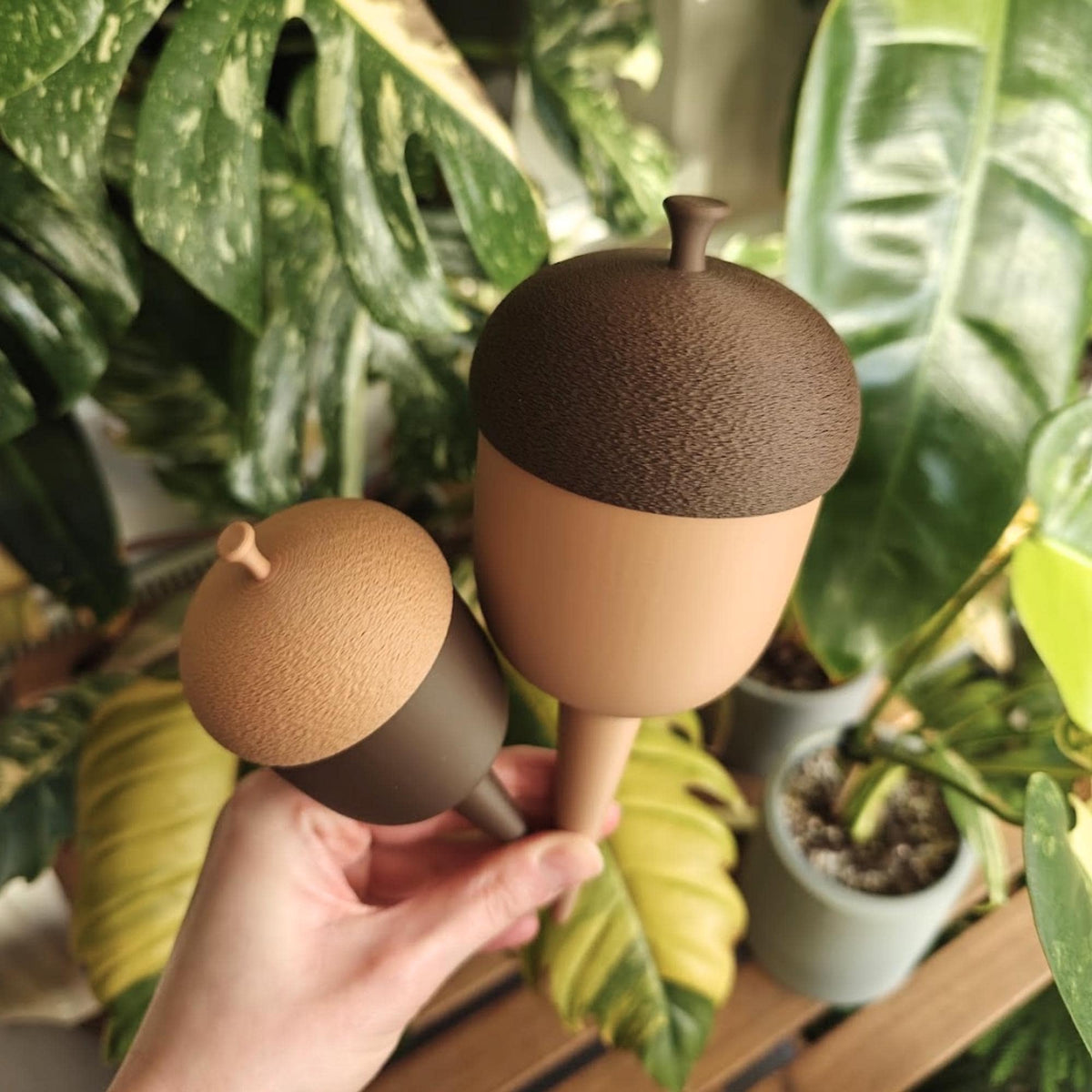 Small and large acorn watering reservoirs shown side by side among indoor plants.