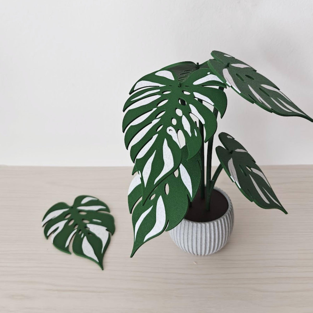 3D printed Monstera Devil Monster plant coaster set displayed in a ribbed pot