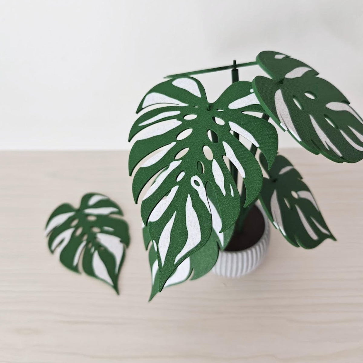Monstera Devil Monster coaster set assembled as a decorative potted plant with six leaf coasters