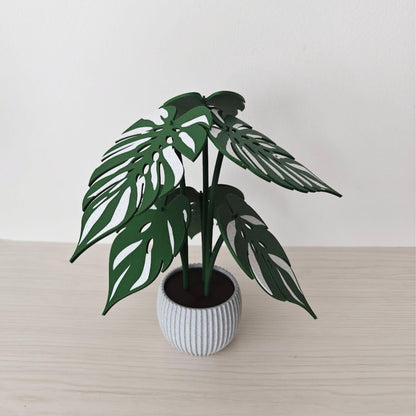 Side view of 3D printed Monstera coaster plant with removable leaf coasters
