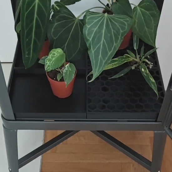 Drainage Trays for IKEA Fabrikor Tall Cabinet, Greenhouse Humidity Tray Set, 3d print