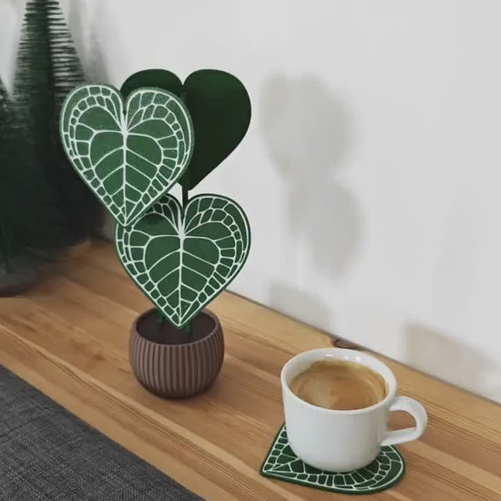 Anthurium Clarinervium Coaster Plant, Anthurium Coaster set of 4 Leaf Coasters, Heart shaped Coasters, 3d printed Coasters