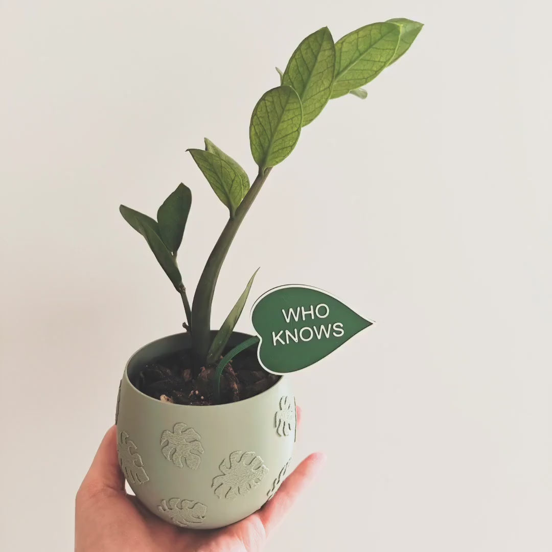 Funny Leaf Shaped Plant Signs - set of 5 pcs, choose your text, Eco-friendly Sustainable 3d Printed, Garden Markers Decor, Plant Accessories