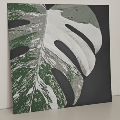 Monstera Albo Leaf, Hueforge Wall Art, 3D Illusion Print, Plant Lover Gift