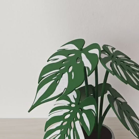 Monstera Devil Monster Coaster Set, 6 Leaf Coasters with Plant Display, Variegated Monstera Decor, 3D Printed Gift