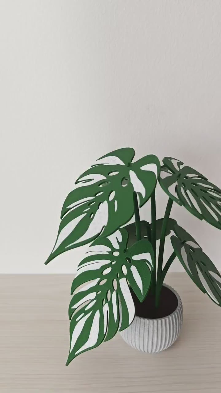 Monstera Devil Monster Coaster Set, 6 Leaf Coasters with Plant Display, Variegated Monstera Decor, 3D Printed Gift