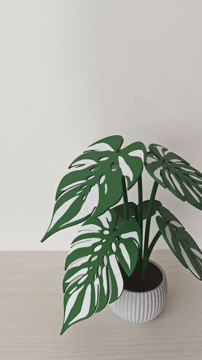 Monstera Devil Monster Coaster Set, 6 Leaf Coasters with Plant Display, Variegated Monstera Decor, 3D Printed Gift