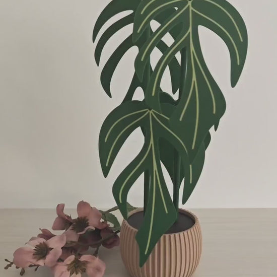 Monstera Burle Marx Flame Coaster Set of 4 Leaf Coasters, 3d printed Plant Coasters