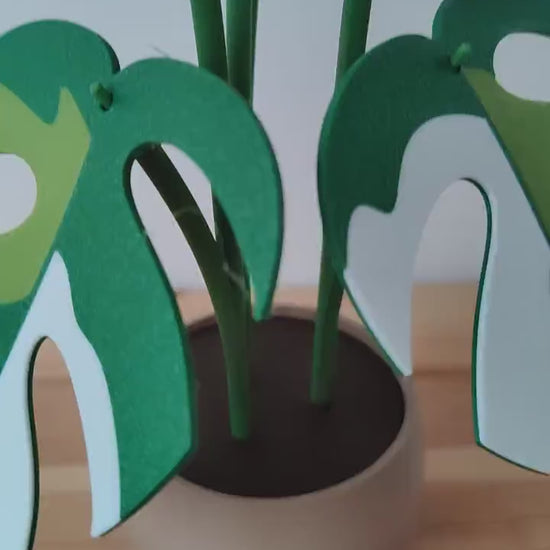 Monstera Minima Coaster Plant Raphidaphora, Monstera Coaster Set, Leaf Coaster, 3D printed Coasters