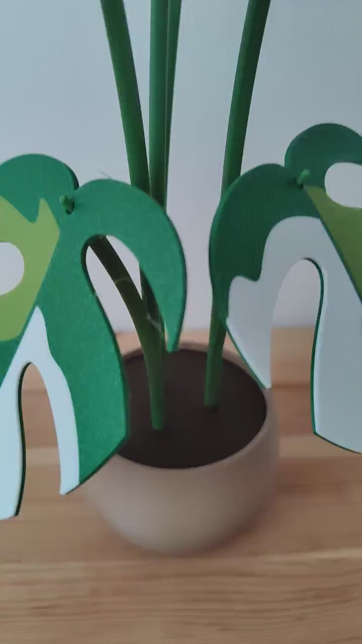 Monstera Minima Coaster Plant Raphidaphora, Monstera Coaster Set, Leaf Coaster, 3D printed Coasters