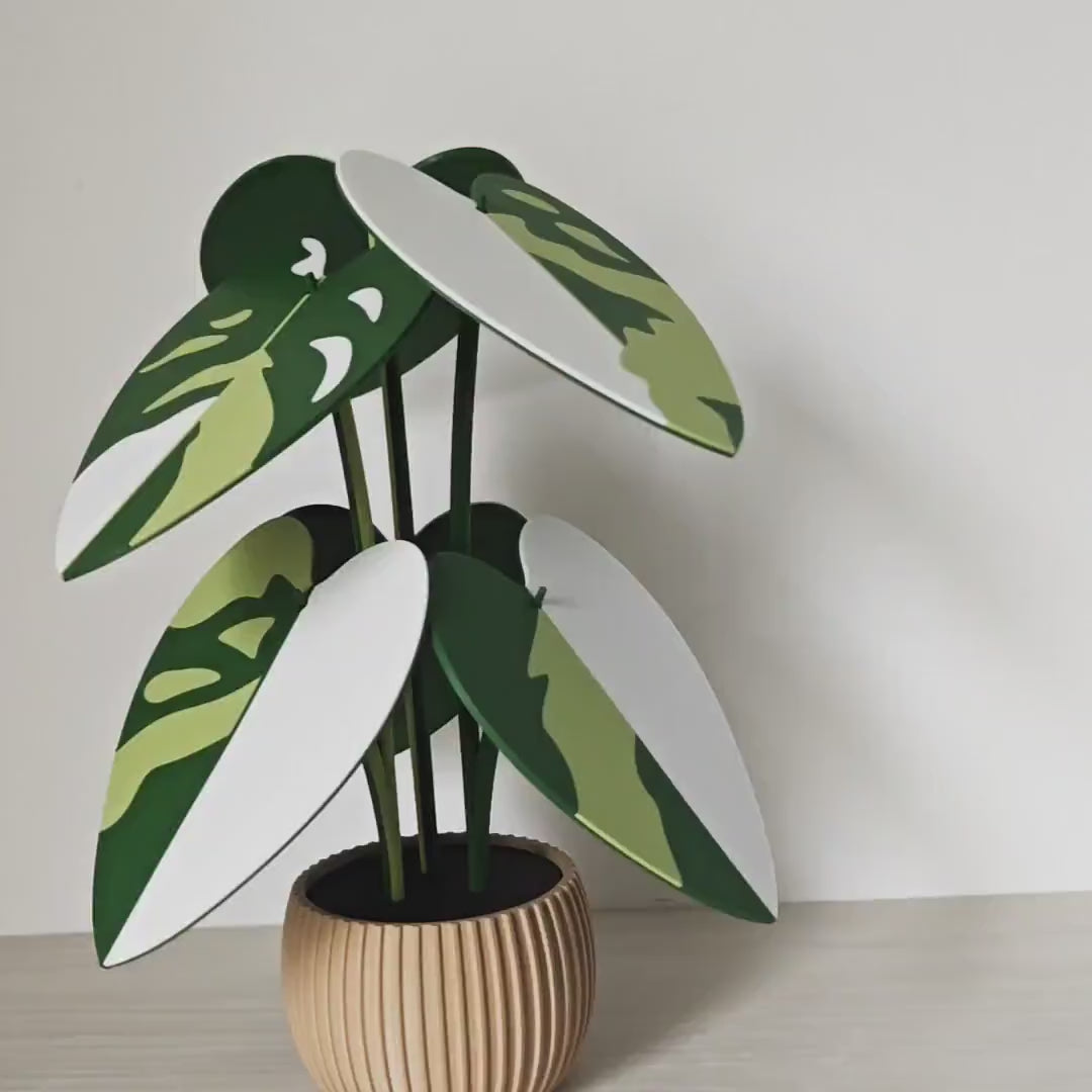Coaster Plant Philodendron Pink Princess or White Princess, Coaster Set, Leaf Coasters, Heart shaped Coaster 3D print