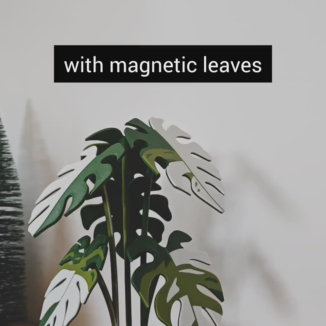 Monstera Coaster Plant, MAGNETIC Leaves, Monstera Albo, Monstera Leaf Coaster Set Gift 3D printed Coasters, Thai Constellation, Mint, Aurea