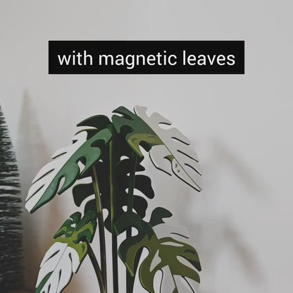 Monstera Coaster Plant, MAGNETIC Leaves, Monstera Albo, Monstera Leaf Coaster Set Gift 3D printed Coasters, Thai Constellation, Mint, Aurea