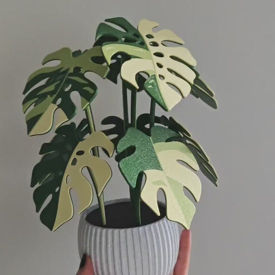 10 Coaster Monstera Plant, Ten MAGNETIC Leaves, Large Coaster Set, Gift for Plant Lovers, 3D printed Coasters