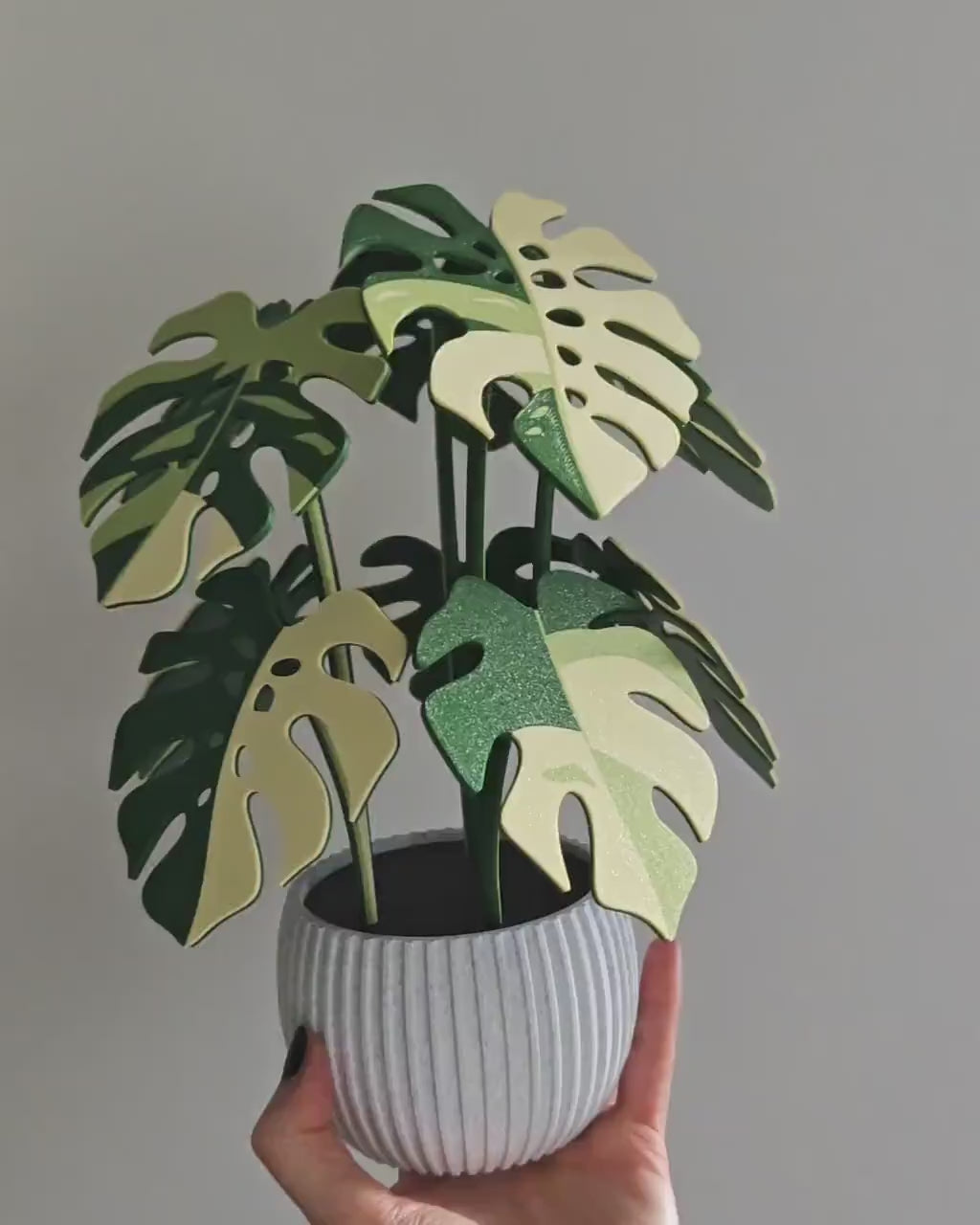 10 Coaster Monstera Plant, Ten MAGNETIC Leaves, Large Coaster Set, Gift for Plant Lovers, 3D printed Coasters