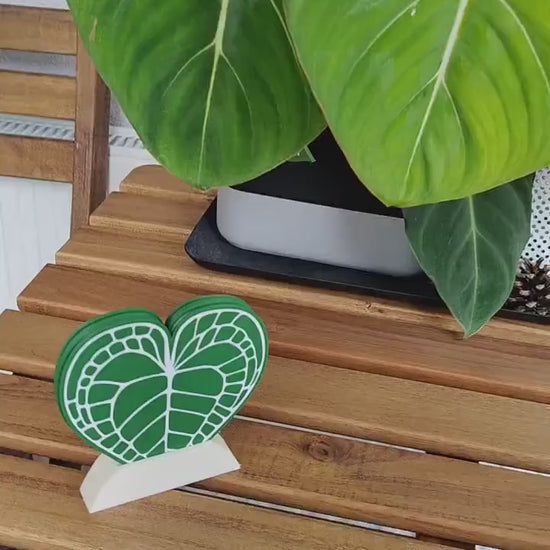 Anthurium Clarinervium Coaster Set of 4 Leaf Coasters, Heart shaped Coasters with Holder, 3d printed Coasters