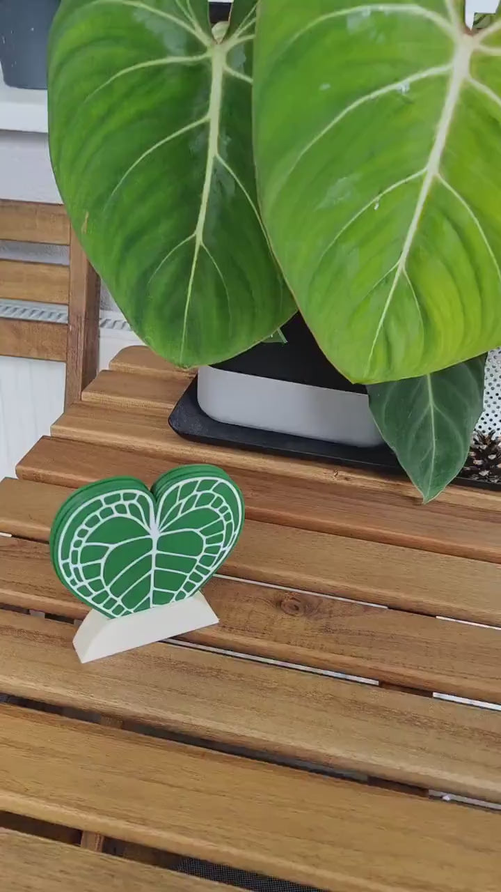 Anthurium Clarinervium Coaster Set of 4 Leaf Coasters, Heart shaped Coasters with Holder, 3d printed Coasters