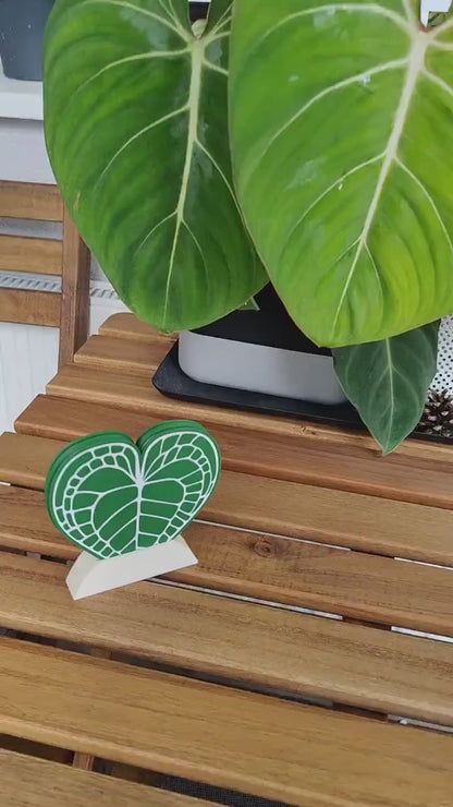 Anthurium Clarinervium Coaster Set of 4 Leaf Coasters, Heart shaped Coasters with Holder, 3d printed Coasters