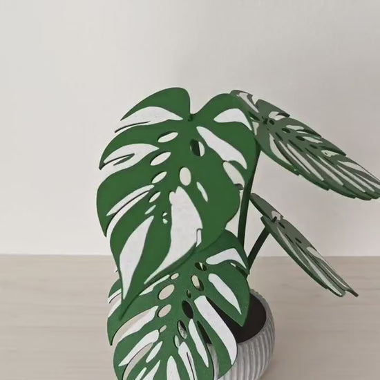 Monstera Devil Monster Coaster Set, 6 Leaf Coasters with Plant Display, Variegated Monstera Decor, 3D Printed Gift