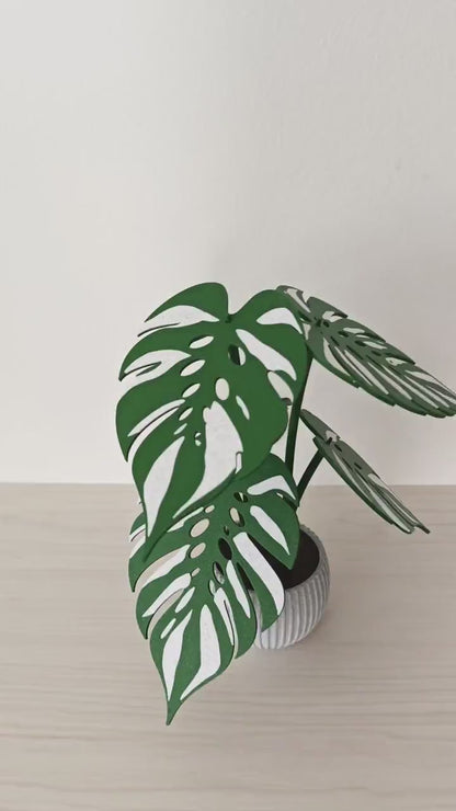 Monstera Devil Monster Coaster Set, 6 Leaf Coasters with Plant Display, Variegated Monstera Decor, 3D Printed Gift