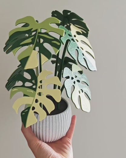 8 Coaster Monstera Plant, Eight MAGNETIC Leaves, Large Coaster Set, Gift for Plant Lovers, 3D printed Coasters