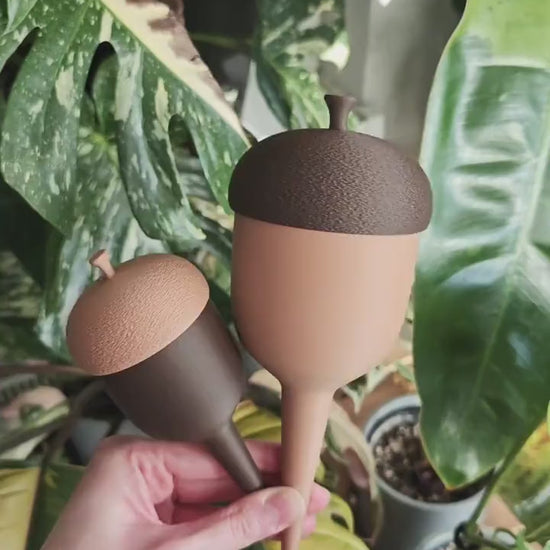 Acorn Plant Watering Spike, Self Watering Aid for Indoor Plants, Slow Release Water Reservoir, 3D print