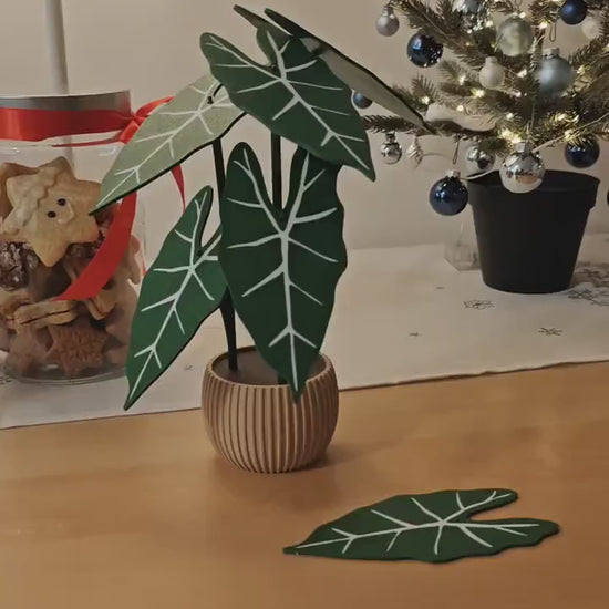 Coaster Plant Alocasia Frydek, Alocasia Green Velvet, 3D printed Coaster Set Alocasia Leaf Coasters, Alocasia Variegated Frydek