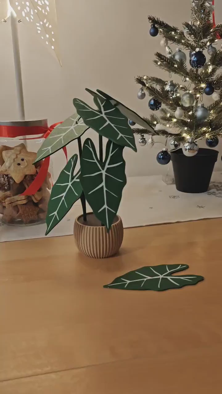 Coaster Plant Alocasia Frydek, Alocasia Green Velvet, 3D printed Coaster Set Alocasia Leaf Coasters, Alocasia Variegated Frydek