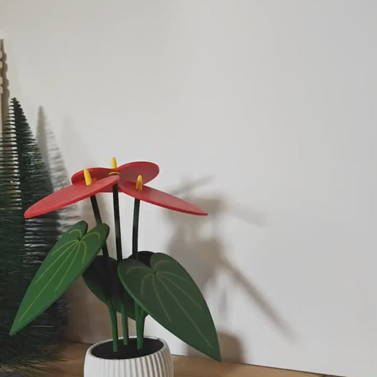 Anthurium Plant Coaster Set, Coaster Plant, Mother's Day Gifts for Plant Lovers Gift, 3D printed Coasters