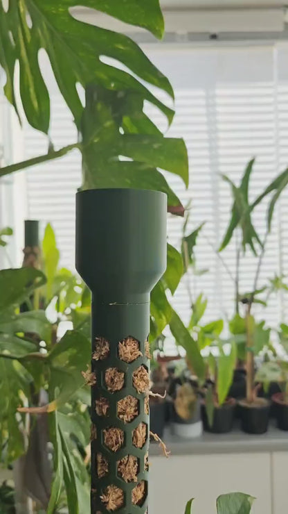Modular Moss Pole Ø 4 cm